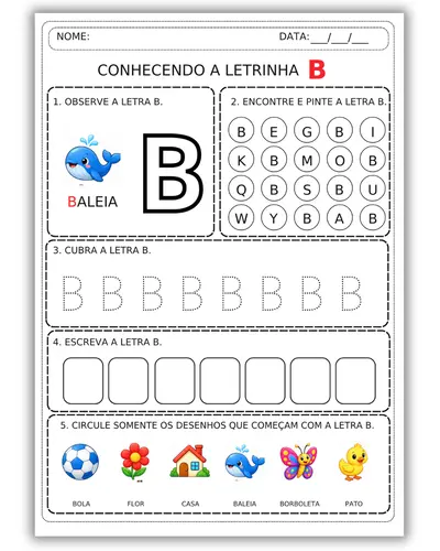 – ensino fundamental