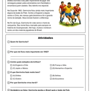 15 textos copa do mundo com atividades – pdf para imprimir